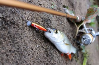 как правильно ловить на спиннинг