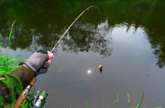 ловля на удочку с кормушкой