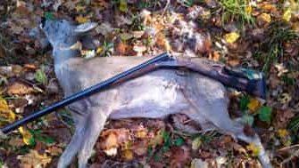 охота на косулю осенью