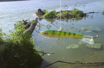 рыбалка летом на балансир