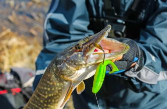 ловля щуки на силиконовые приманки