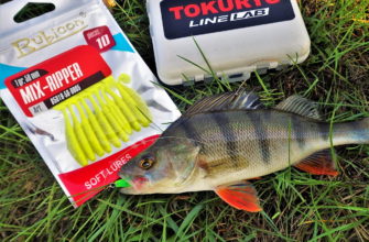 ловля окуня на резину