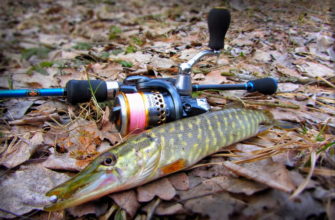 рыбалка на щуку в сентябре