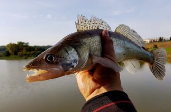 отводной поводок на судака
